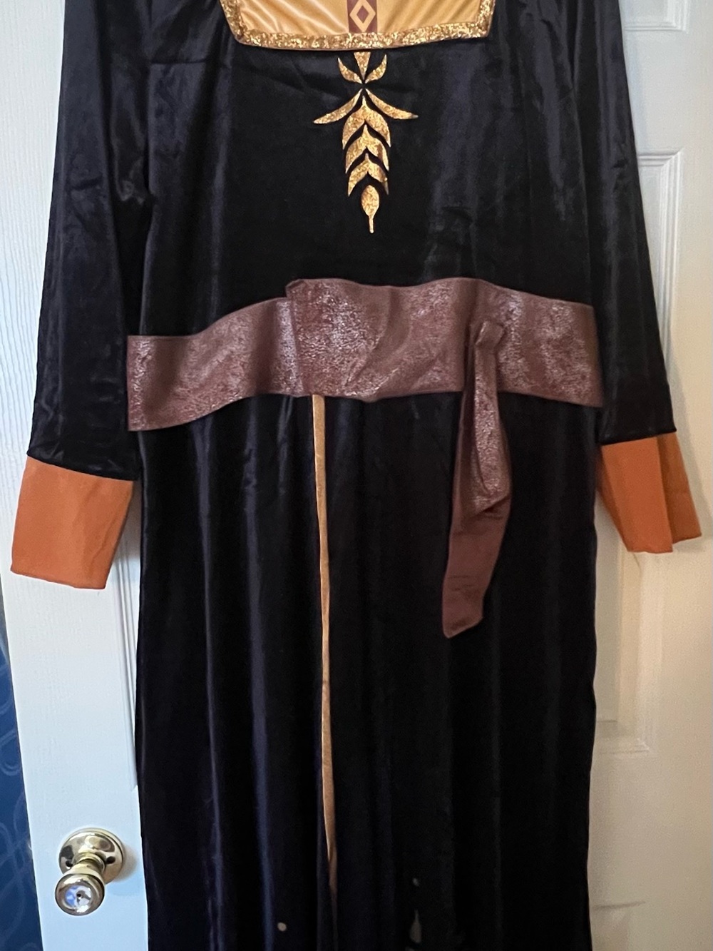 Disney Frozen Anna Deluxe Adult Costume XL/EG/TG (18-20) - Picture 5 of 12